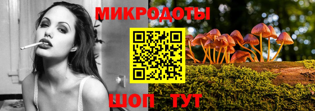 Псилоцибиновые грибы мицелий Михайловка