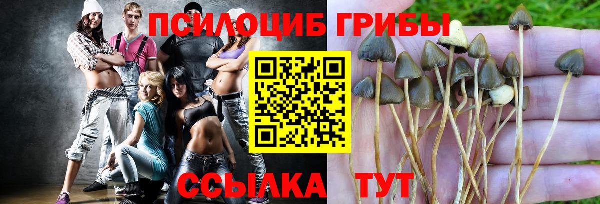 Галлюциногенные грибы GOLDEN TEACHER  Вход с VPN  Псилоцибиновые грибы мухоморы  купить  цена  Михайловка 